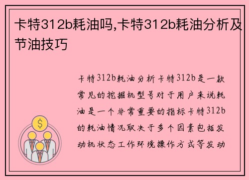 卡特312b耗油吗,卡特312b耗油分析及节油技巧 卡特312b耗油吗,卡特312b耗油分析及节油技巧